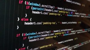 agence dev web