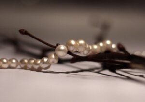 Les artisans autodidactes