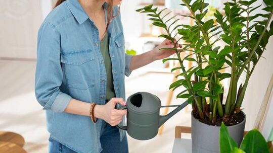 Jardinière résine : élément clé pour vos espaces extérieurs et intérieurs