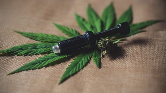 CBD de Qualité : Découvrez les bienfaits d’un produit exceptionnel