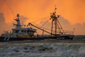 assurance maritime
