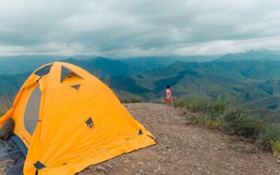 Location de camping-car : la meilleure option voyage